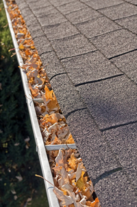 Cleaning your gutters in Indiana