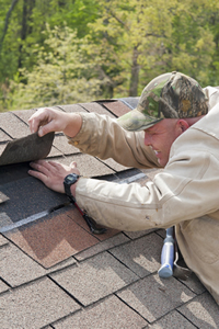 Roof Repair Word