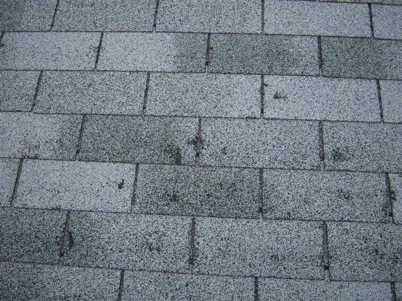 Nine Signs Of A Failing Or Damaged Roof