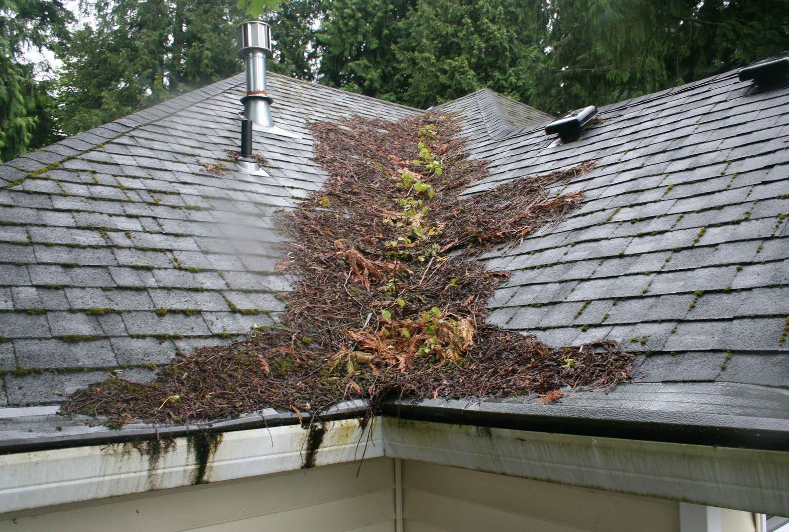 roof-debris