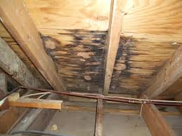 damaged plywood in attic